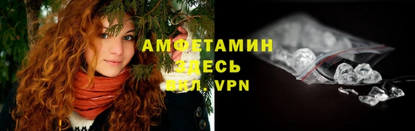 прущие грибы Михайловка