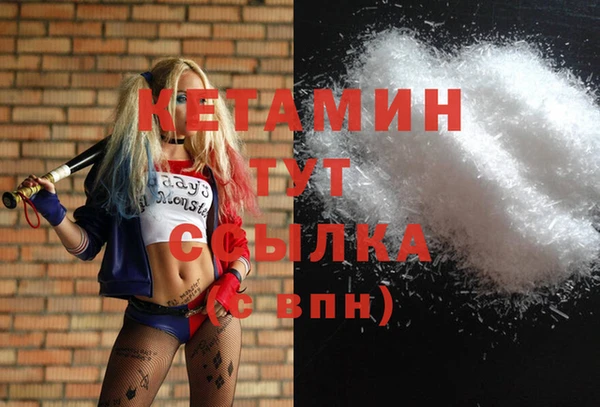 прущие грибы Михайловка