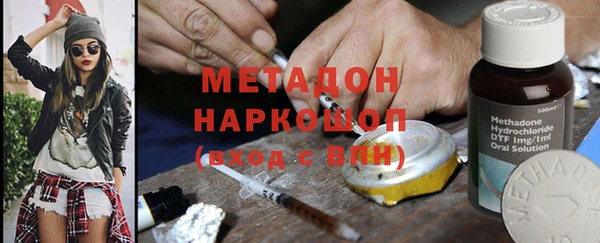 прущие грибы Михайловка