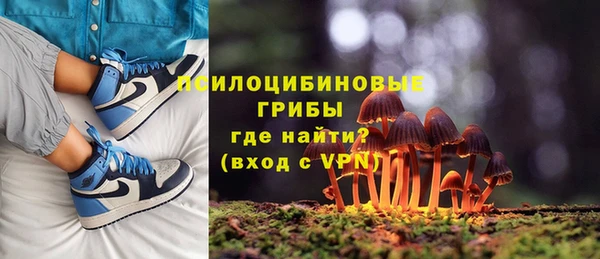 амф Михайловск